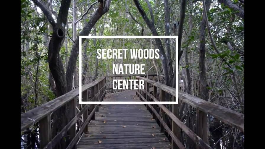 løn Der er en tendens Devise Secret Woods Nature Center | Fort Lauderdale | Florida Hikes