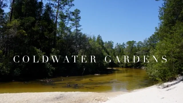 Coldwater Gardens – Florida Hikes