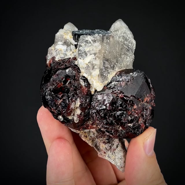 large Spessartine Garnets w/ Schorl, Smoky Quartz, etc.