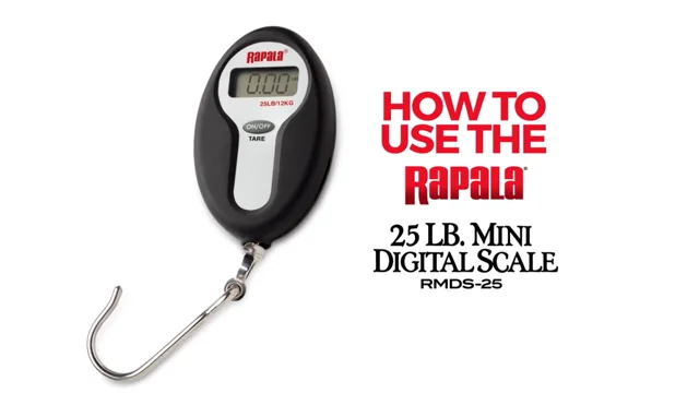Rapala Mini Digital Fish Scale — Discount Tackle