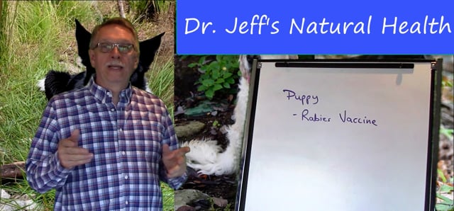 Natural Health - Rabies Vax - How Often?