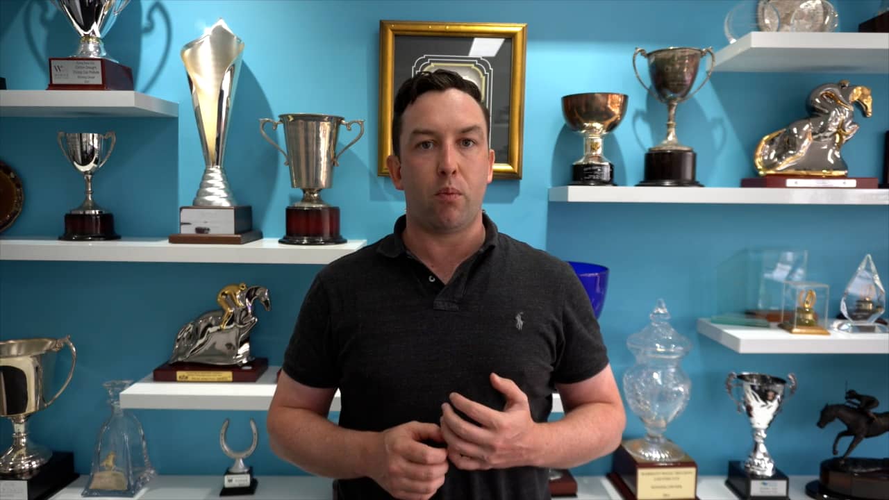 Frosted x Kite Haraka Grey Yearling Filly Video Preview 3.12.21 on Vimeo