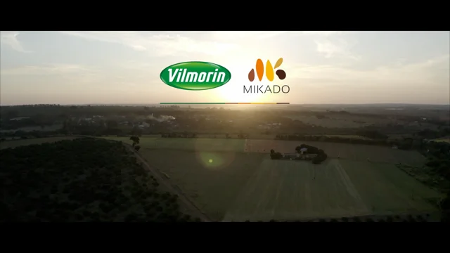 Vilmorin-Mikado  Vilmorin Mikado