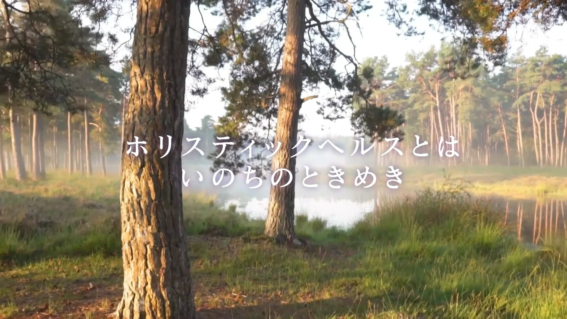 ホリスティックヘルス塾 | NPO法人 日本ホリスティック医学協会