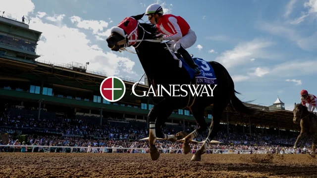 Gainesway Spun to Run