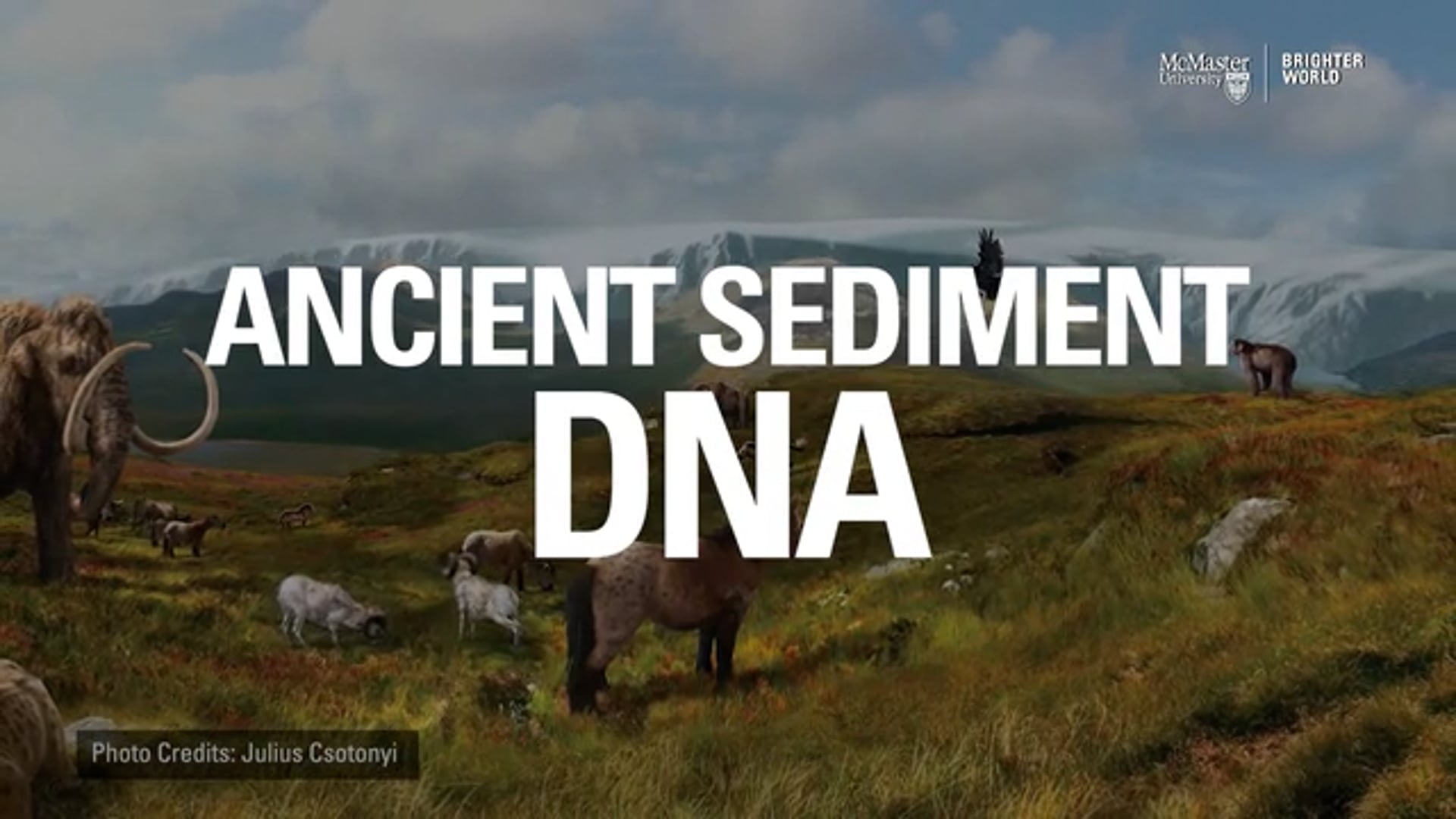 Ancient Sediment DNA