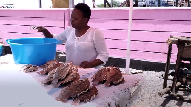 Déclin du poisson : cris des femmes ! - Vidéo ePOP