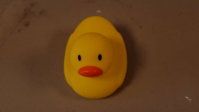 Duck out of Water Final Cut.mp4