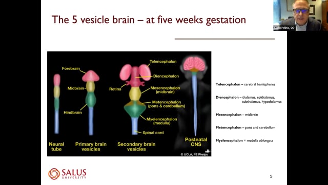 Neuro-Ophthalmic Disease in the Optometric Practice