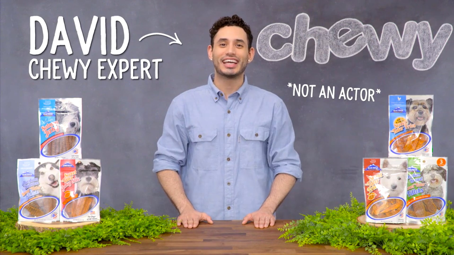 Chewy: Blue Ridge Naturals Dog Treats