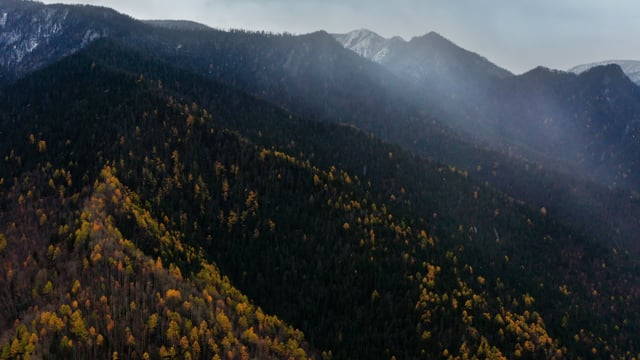 Autumn in Siberia - Ambient Drone Film about Beauty of Fall Foliage Season