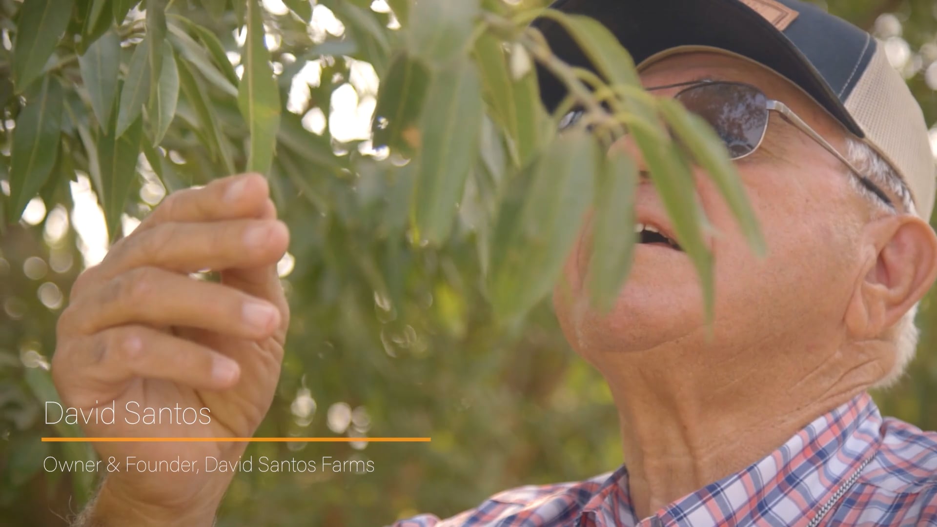 David Santos Farms Goes Solar with NewGen Energy