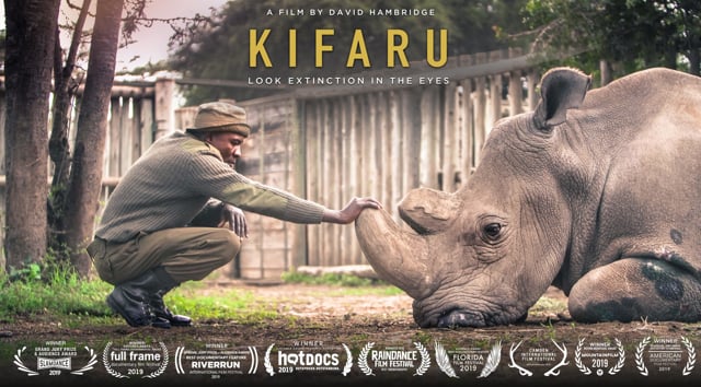 KIFARU | Trailer