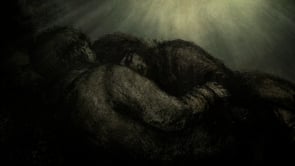 Chapter 8