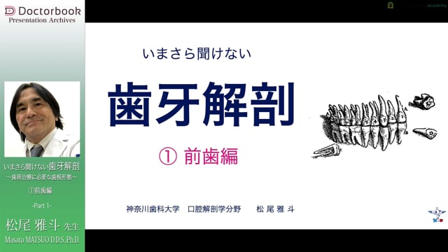 いまさら聞けない歯牙解剖 〜歯周治療に必要な歯根形態〜 1.前歯編