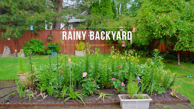 4K Rainy Backyard
