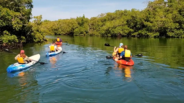 Eco Kayaking Trip In St Augustine, 40% OFF