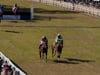 Charleston Race 2