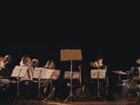 Video Image