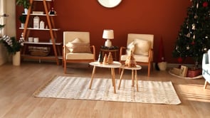 Video Gallery - Scandinavian Photo Studio for Rent in Downtown Los Angeles