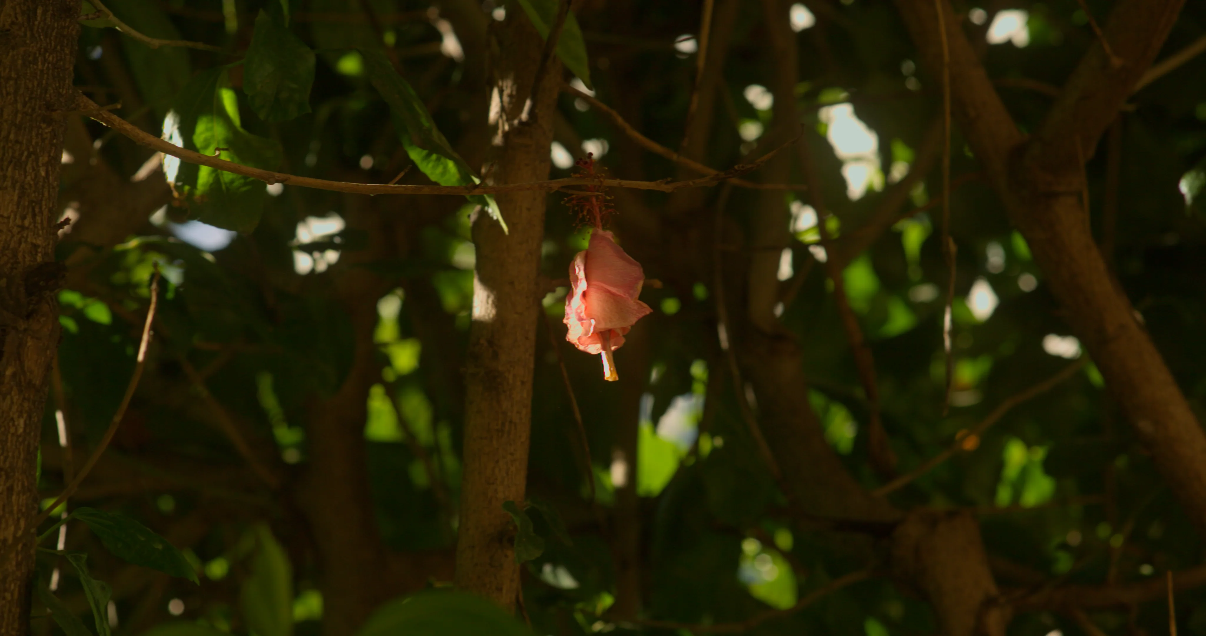 14 on Vimeo