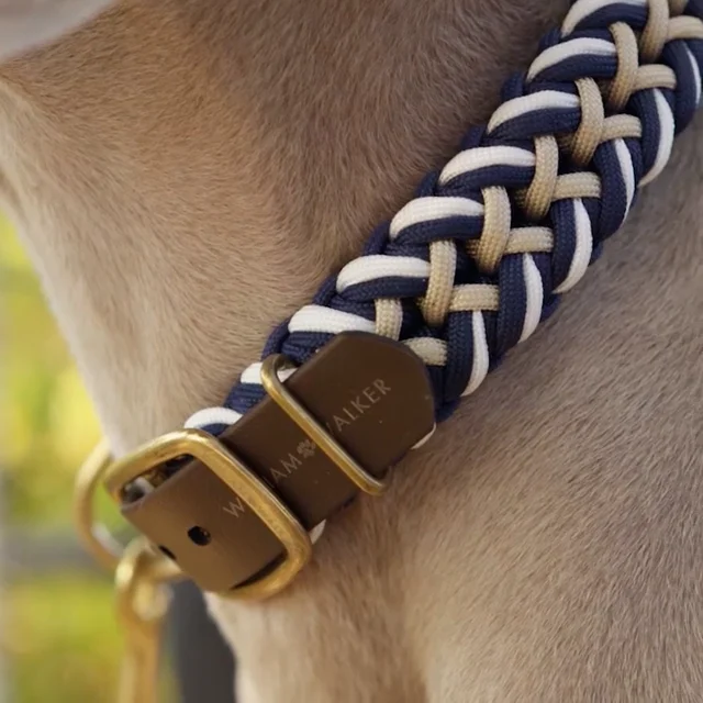 Braided paracord dog lead Hanseatic (blue-white-beige) by William Walker