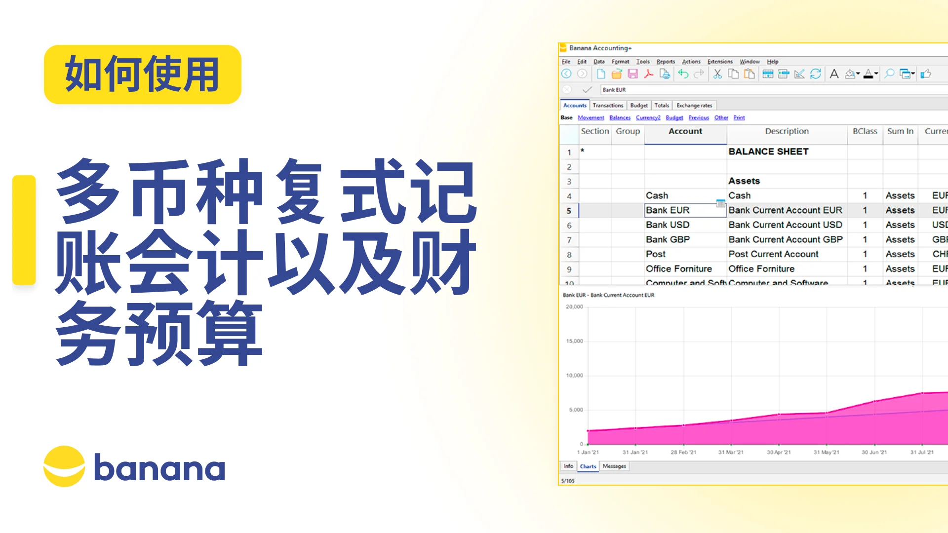 多币种会计核算
