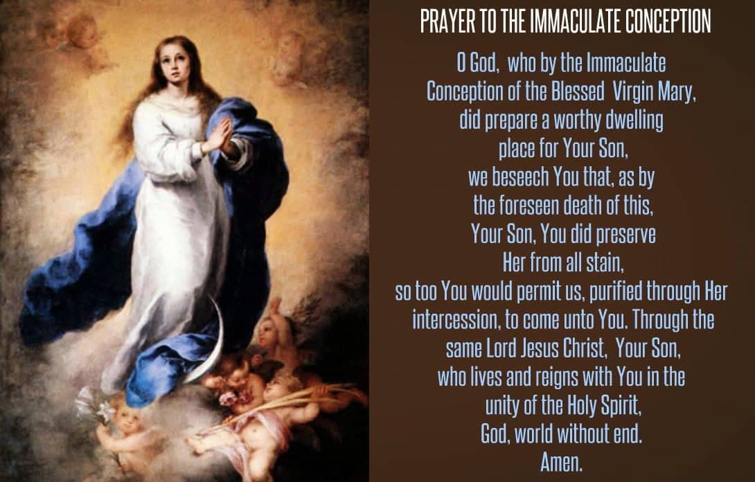 Solemnity of the Immaculate Conception of the Blessed Virgin Mary on Vimeo