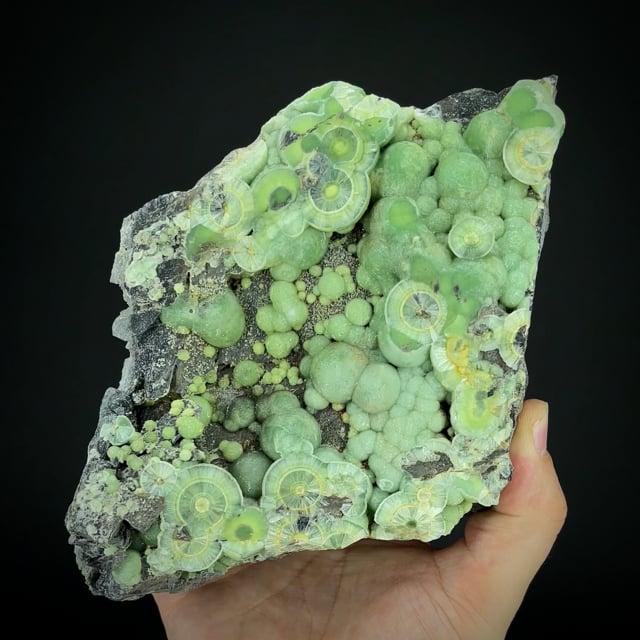 large Wavellite (Owens Coll.)