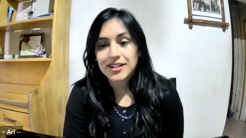 Ari, historia en vídeo