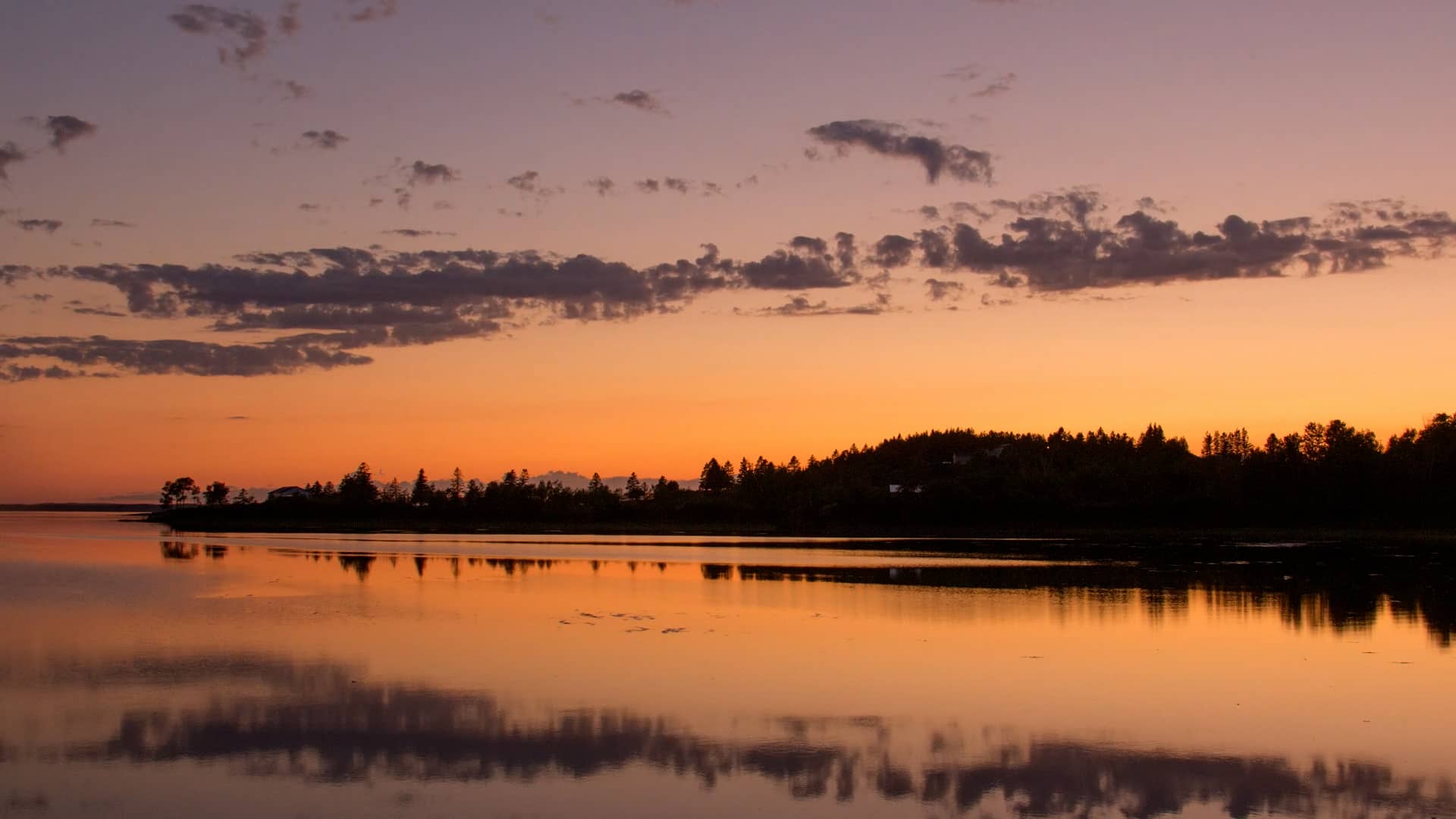 Carrying Place Cove on Vimeo