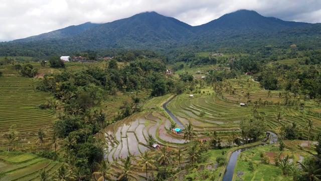 Bali, Indonesia Videos: Download 50+ Free 4K & HD Stock Footage Clips ...