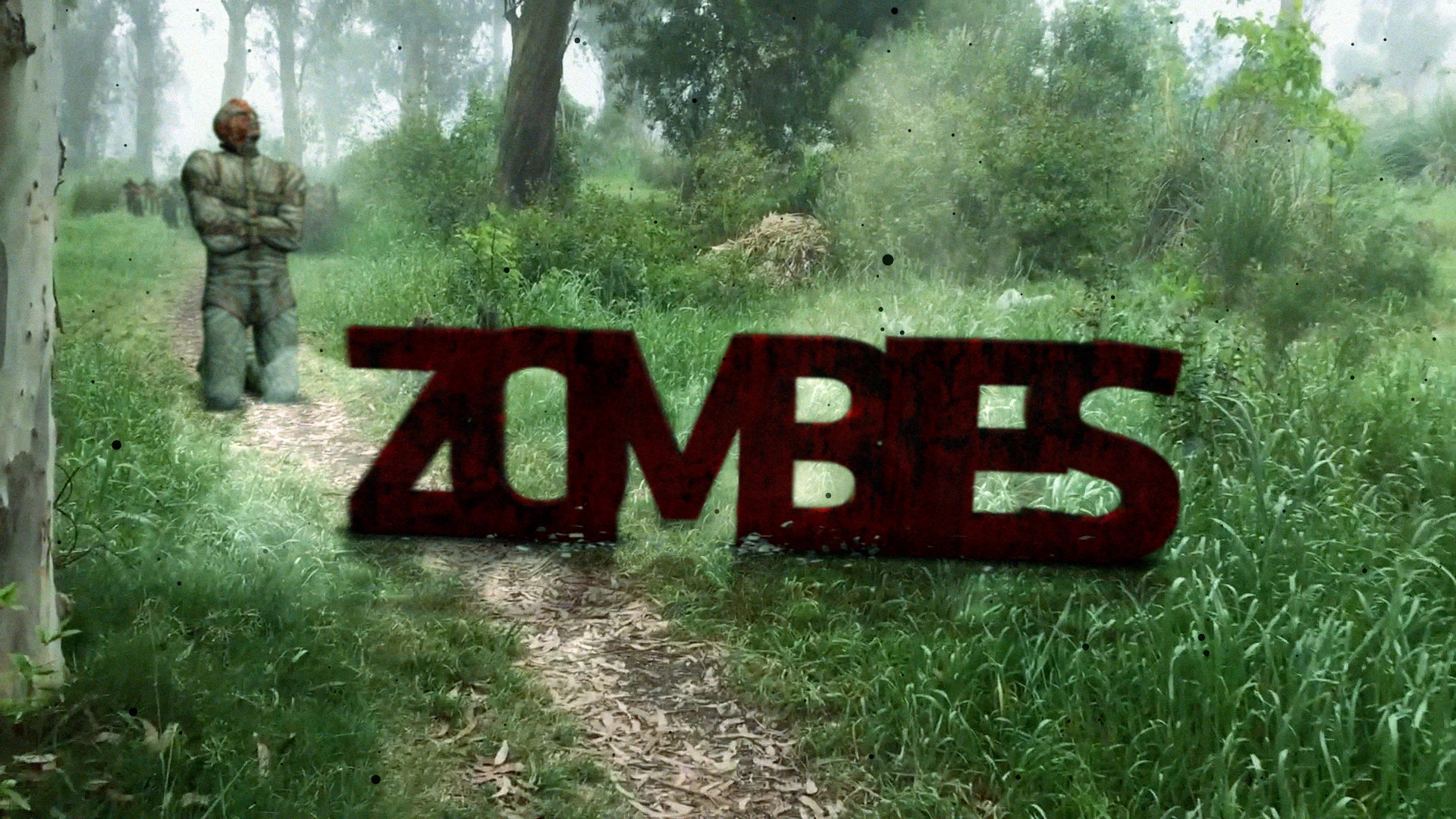 Proyecto final on Vimeo
