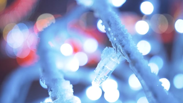Weihnachtshits 2021 – Was ist dein Lieblings-Weihnachtssong?
