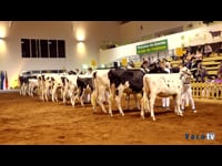 Mejor conjunto joven