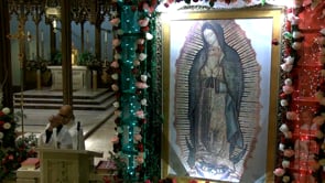 Misa Diocesana de Nuestra Señora de Guadalupe
