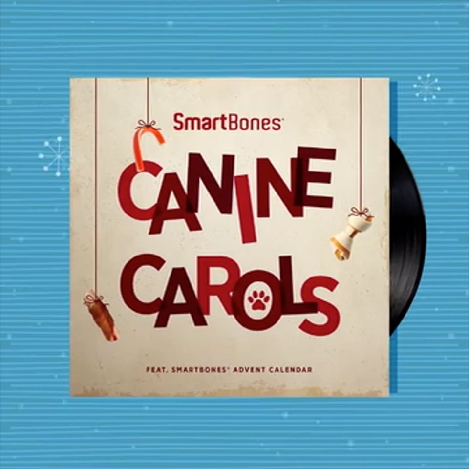 SmartBones, Canine Carols