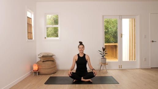 Easy Pose, Side Plank, Plank, Four Limbed Staff, Upward Facing Dog, Downward Facing Dog, One Legged Dog Variation, Low Lunge, Camel, Bridge, Shoulder Stand Variation