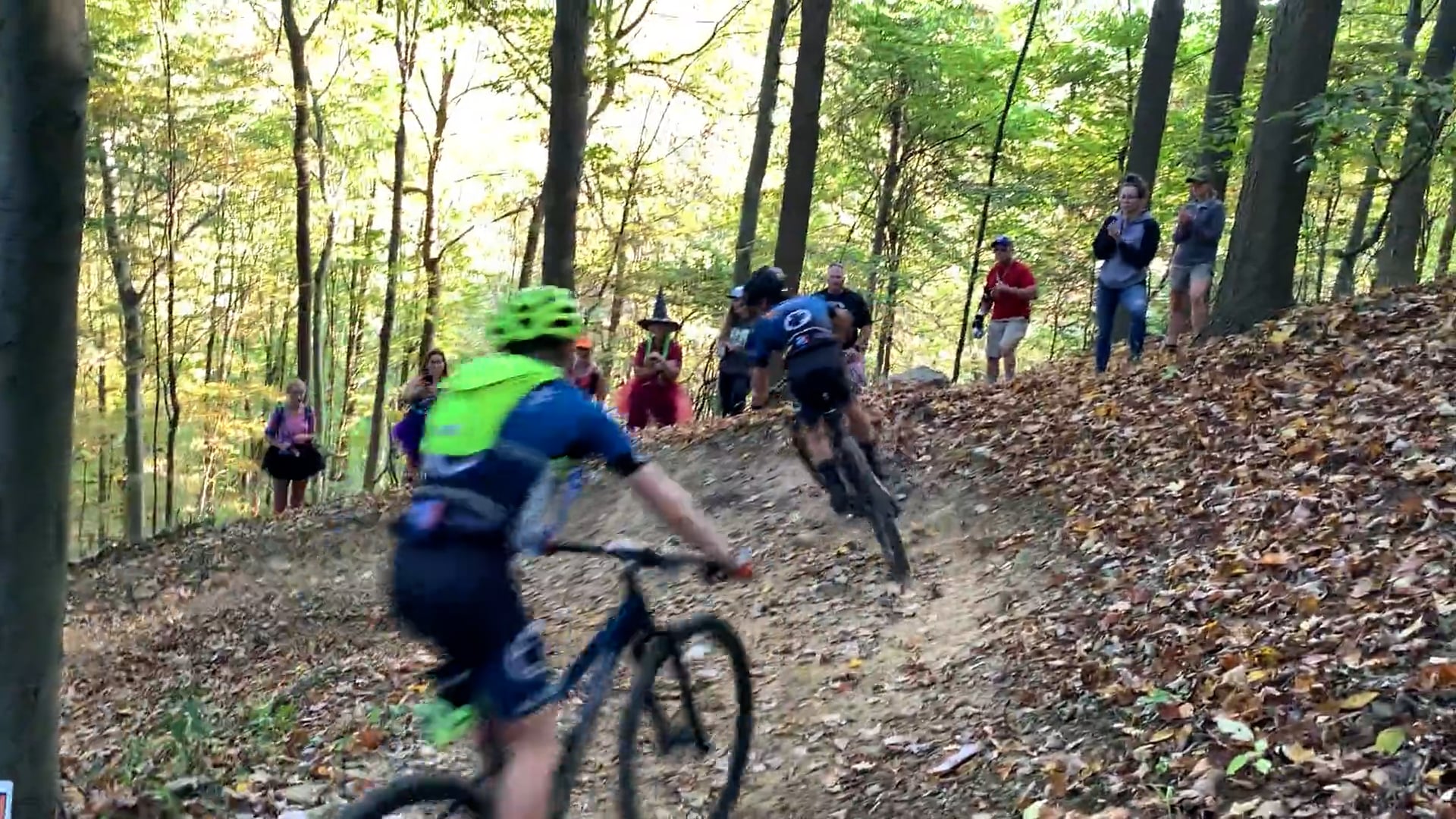 Lost in the Woods MTB
