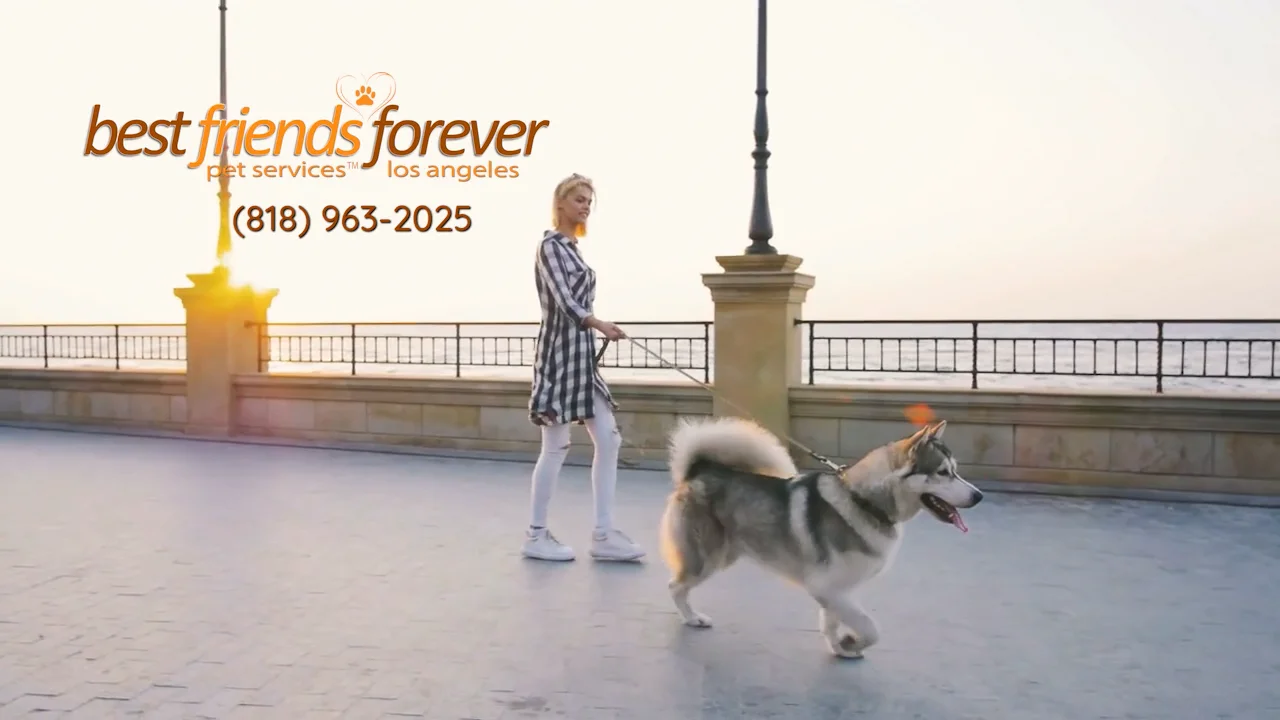 Best Friends Forever Pet Services on Vimeo