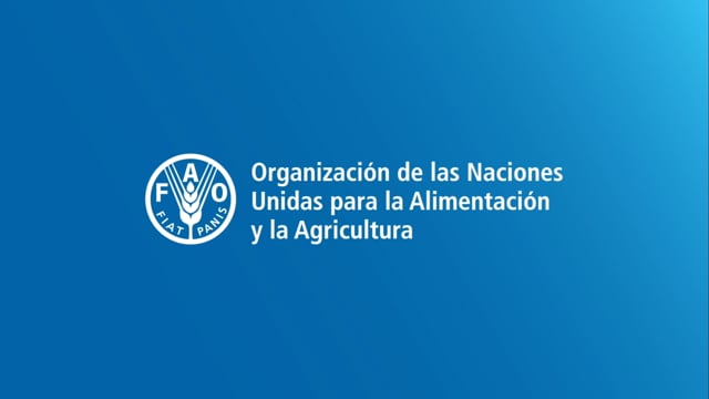 Cuenta Pública 2020