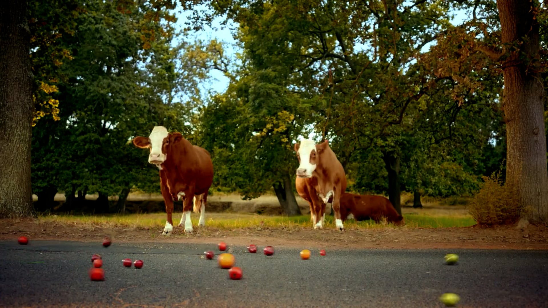 Paulo Henriques Migros Supermarket Fruits