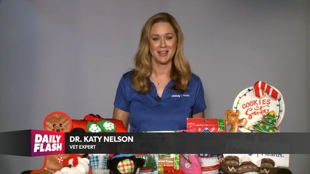 PET PARENTING MADE EASY | DR. KATY NELSON | DailyFlash