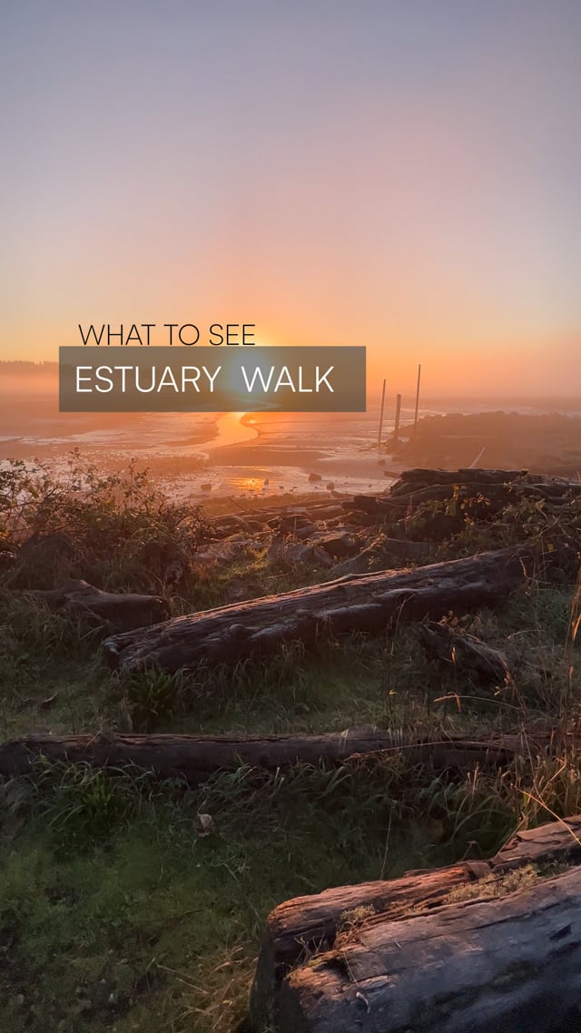 Comox - BC -  Estuary Walk