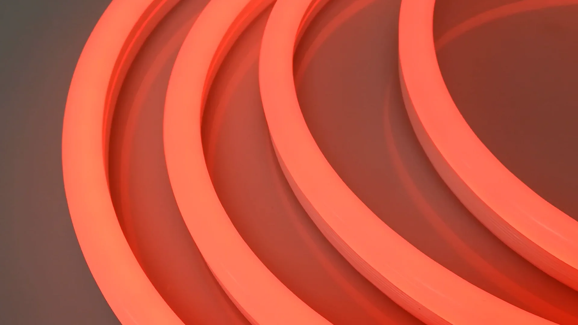 12V M1シリーズ LEDネオンライトRGB「左右に曲がるヘビ型」｜ジェイ