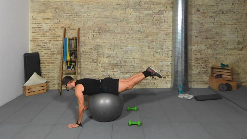 Fuerza y resistencia