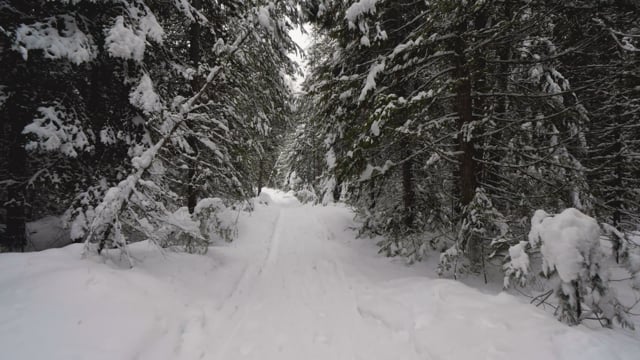 Scenic Nature Trails of Canada. Wintertime. Part 1
