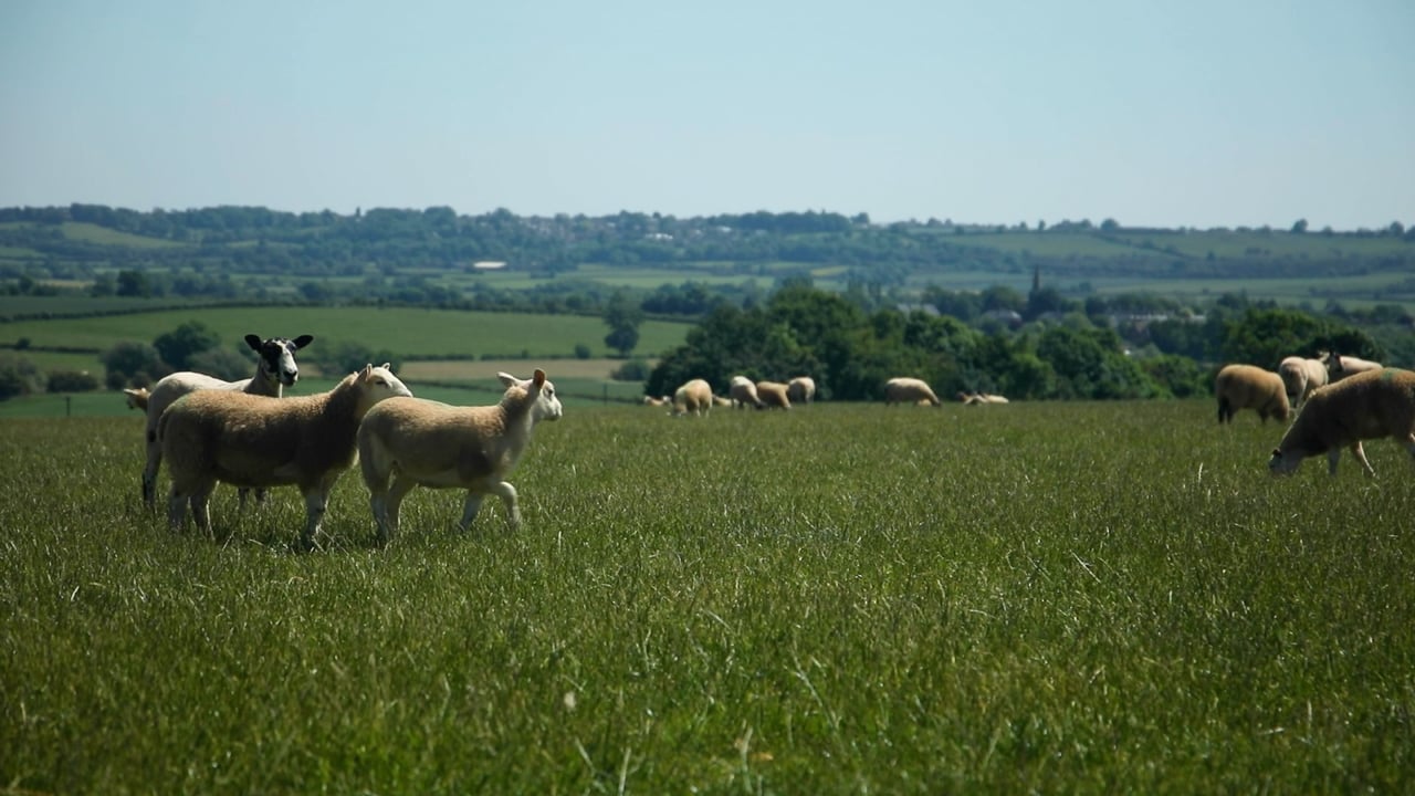 It’s Not Rocket Science, a video by Jose Fajaro