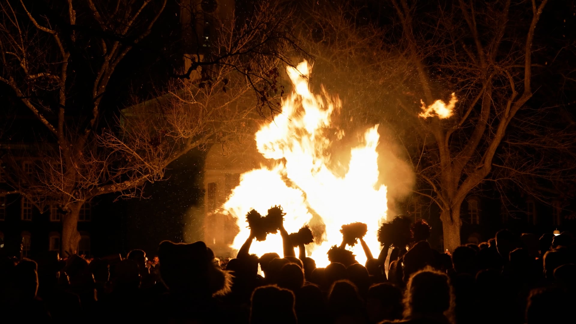 Bonfire @ Princeton