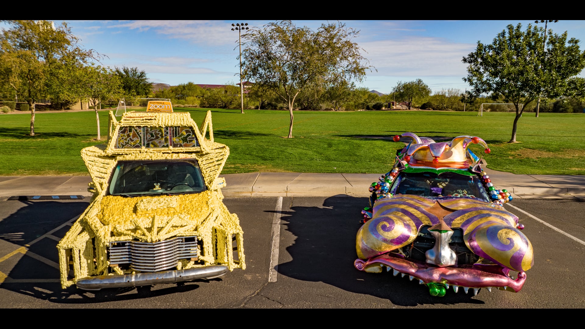 Scottsdale Zoom Delivery Service Art Cars